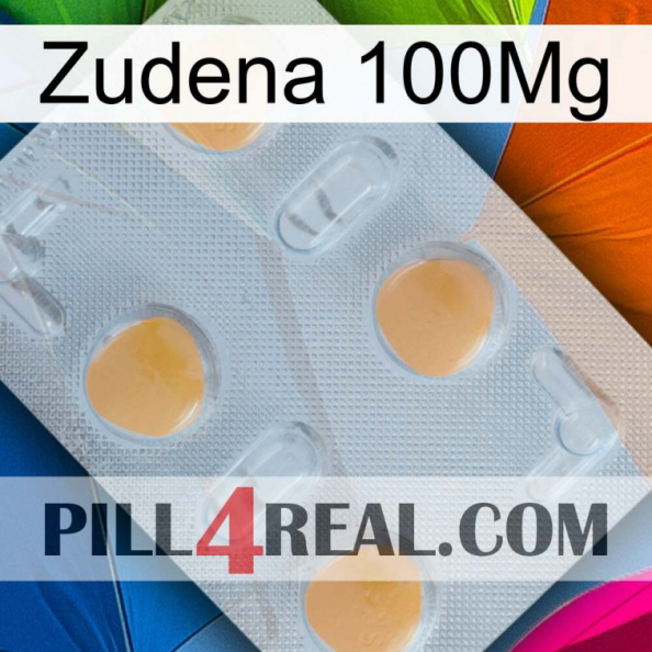 Zudena 100Mg 24.jpg